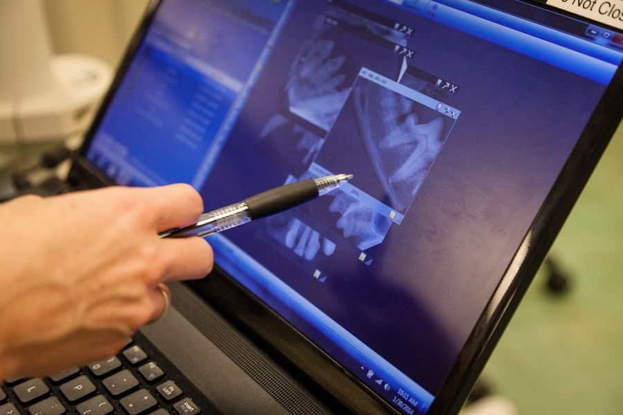 Vet reviewing dog dental X-ray